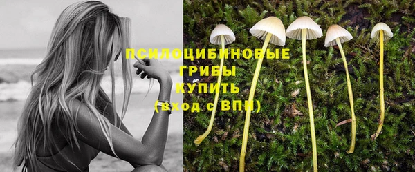 ГАЛЛЮЦИНОГЕННЫЕ ГРИБЫ Белоозёрский