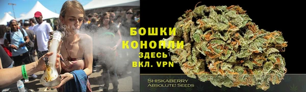 ГАЛЛЮЦИНОГЕННЫЕ ГРИБЫ Белоозёрский