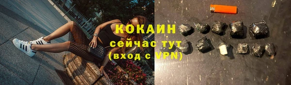 ГАЛЛЮЦИНОГЕННЫЕ ГРИБЫ Белоозёрский